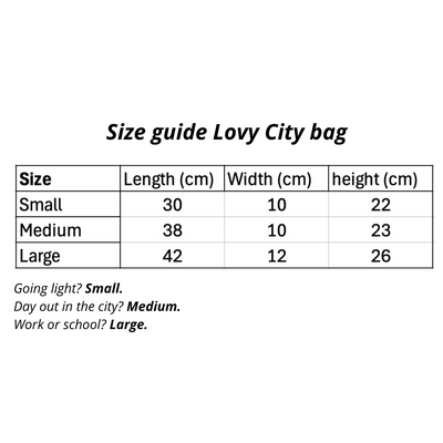 city bag small